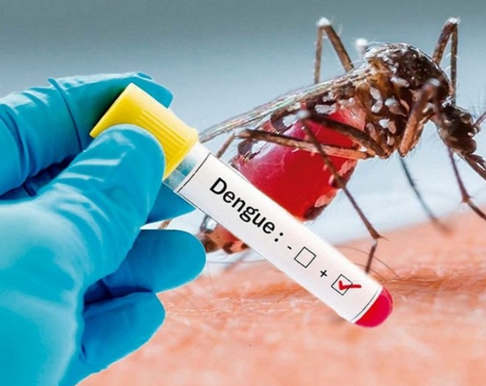 डेंगीका कारण थप एक जनाको मृत्यु
