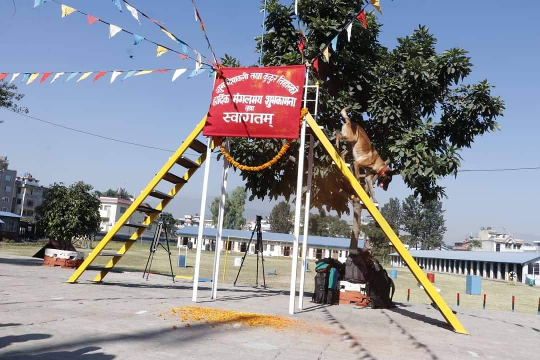 केनाईन कार्यालय काठमाडौं महाराजगंज कुकुर पूजा सम्पन्न