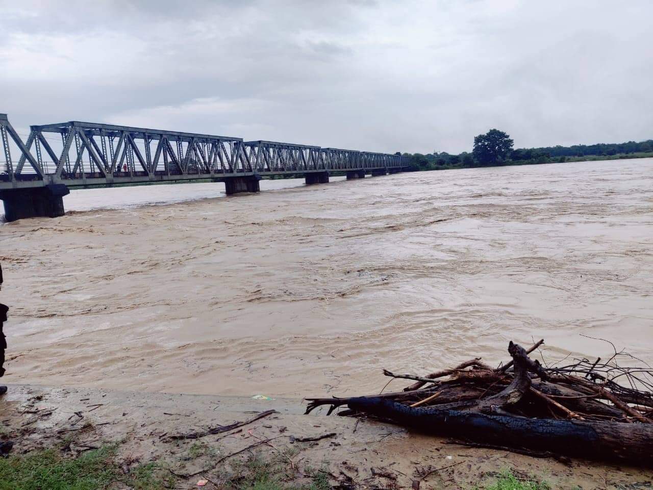 लगातारकाे वर्षाका कारण बाढीले बाँकेका ३ सय भन्दा बढी घरहरु डुबानमा