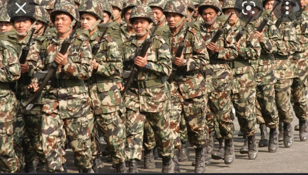 संवेदनशील क्षेत्रकाे सुरक्षाको जिम्मा सेनालाई