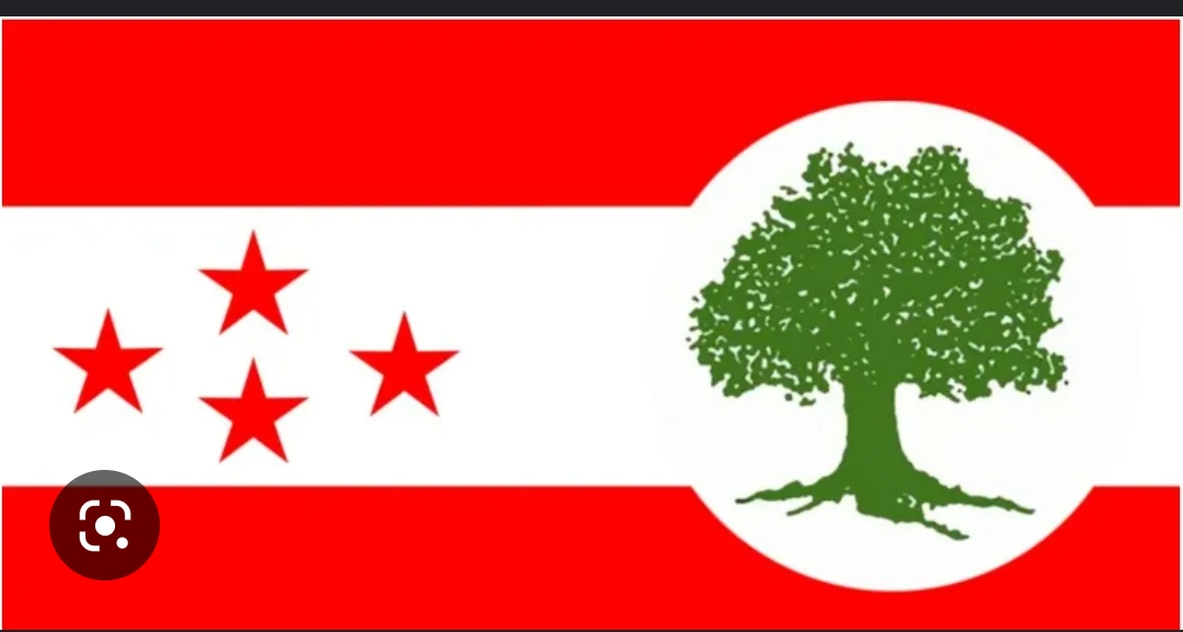 कांग्रेस कार्यकर्ताले मागे जिल्ला नेतृत्वको राजीनामा