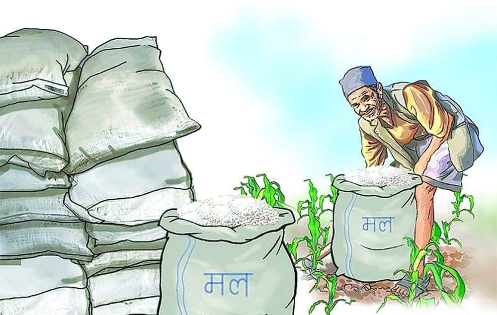 कैलालीको किसानले अझै मल पाएनन्
