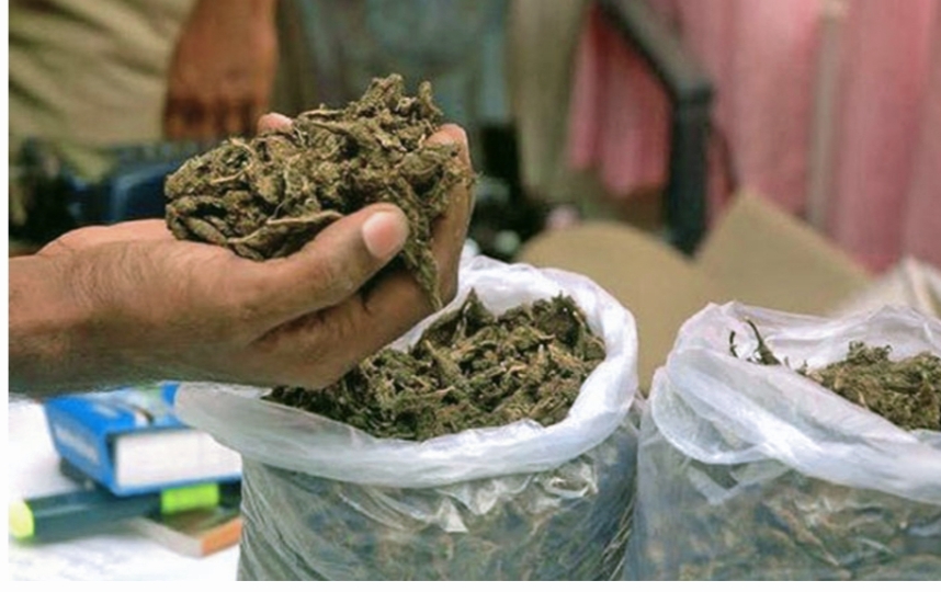 १२० किलो गाँजा बरामद
