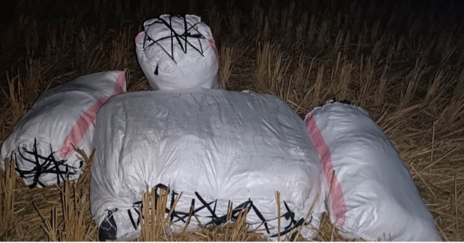 ढाकाको झोला र पोतेसहित एकजना पक्राउ