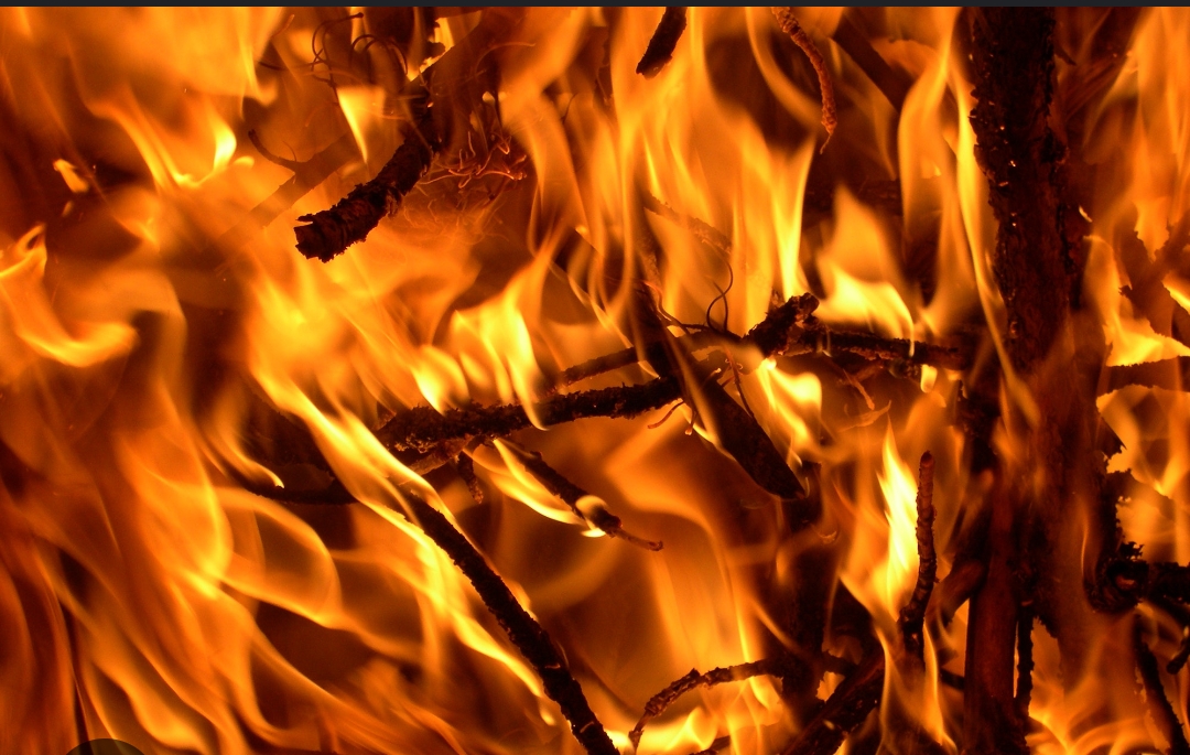 कार्टुन उद्योगमा आगलागी हुँदा १४ करोडको क्षति