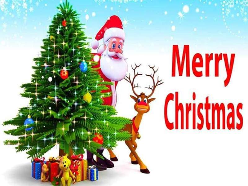 पुस १० गते क्रिसमस पर्व धुमधाम गरेर मनाउदै चर्जहरुमा आज सार्वजनिक बिदा