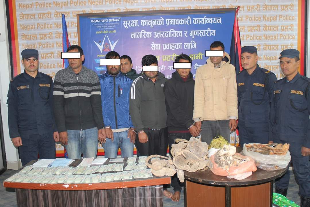 कैलालीमा नक्कली नोट र बाघको हड्डी जडिबुडीसहित ५ जना पक्राउ
