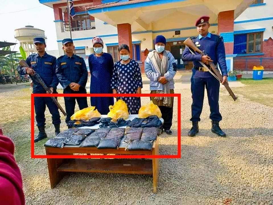 कपिलवस्तु प्रहरीले १६ किलो अफिम सहित ३ महिला पक्राउ