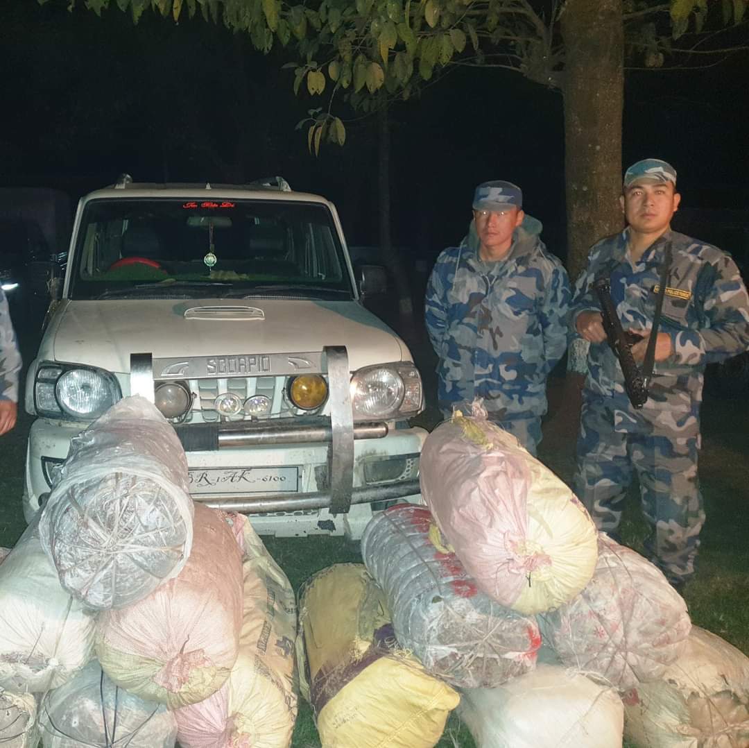 सशस्त्र प्रहरी सुनसरीद्वारा ठुलो मात्रामा गाँजासहित स्कारपियो गाडी पक्राउ