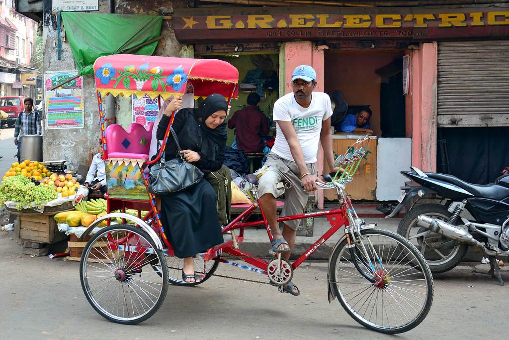 पर्सा जिल्लाको बिरगंजमा पाइडल रिक्साको यात्रा रमणीय यात्रामा यात्रुहरु