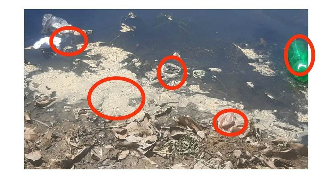 सिर्सिया नदी प्रदूषण उप-प्रमुख आलम एक्सनमा ५ वटा उद्योगलाई कारबाही १५ लाख जरिवाना