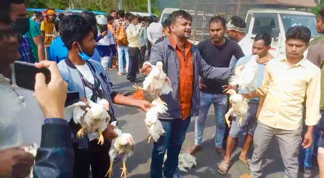 सशस्त्र र नेपाल प्रहरीको सेटिङमा बाँकेमा कुखुरा  तस्करी व्यवसायीहरुले  सडकमा कुखुरा फालेर बिरोध