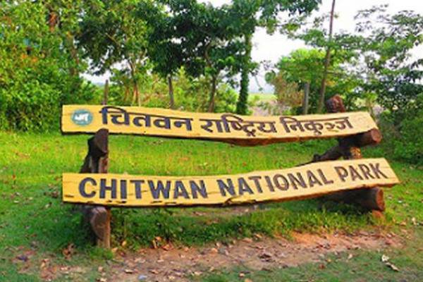 चितवनमा राष्ट्रिय निकुञ्जमा ८ वर्षमा २ सय २० गैँडा मरेको तथ्यांक