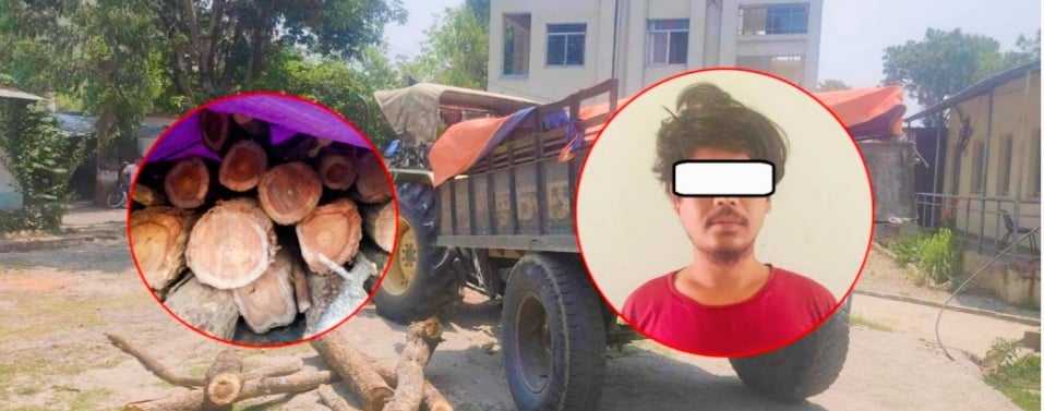 इप्रका भालुवाङ प्रहरीले देउखुरीबाट अवैध १५ गोलिया काठ सहितट्याक्टर चालक पक्राउ