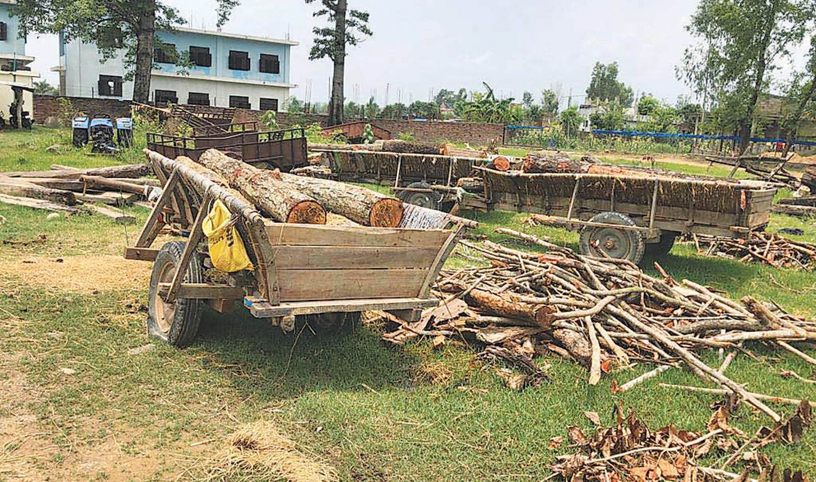 कैलालीमा अवैध काठ बरामद