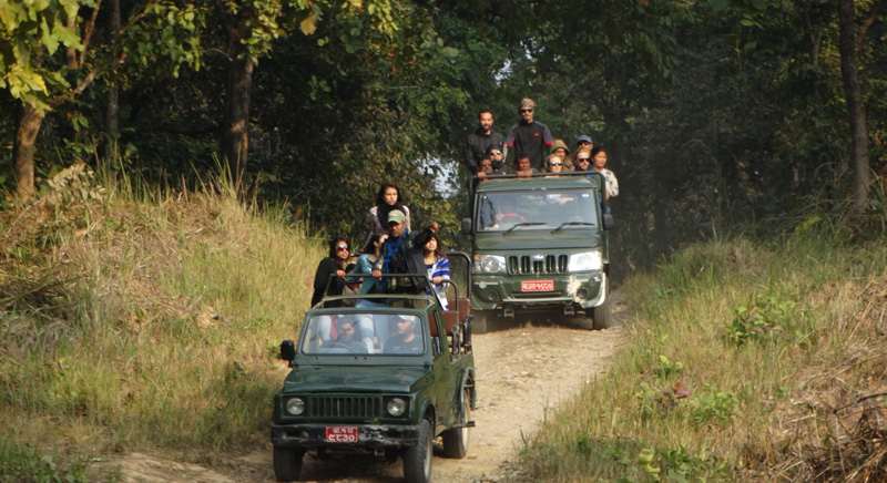 बर्षा र बाढी कारण चितवन राष्ट्रिय निकुञ्जमा जंगल सफारी बन्द
