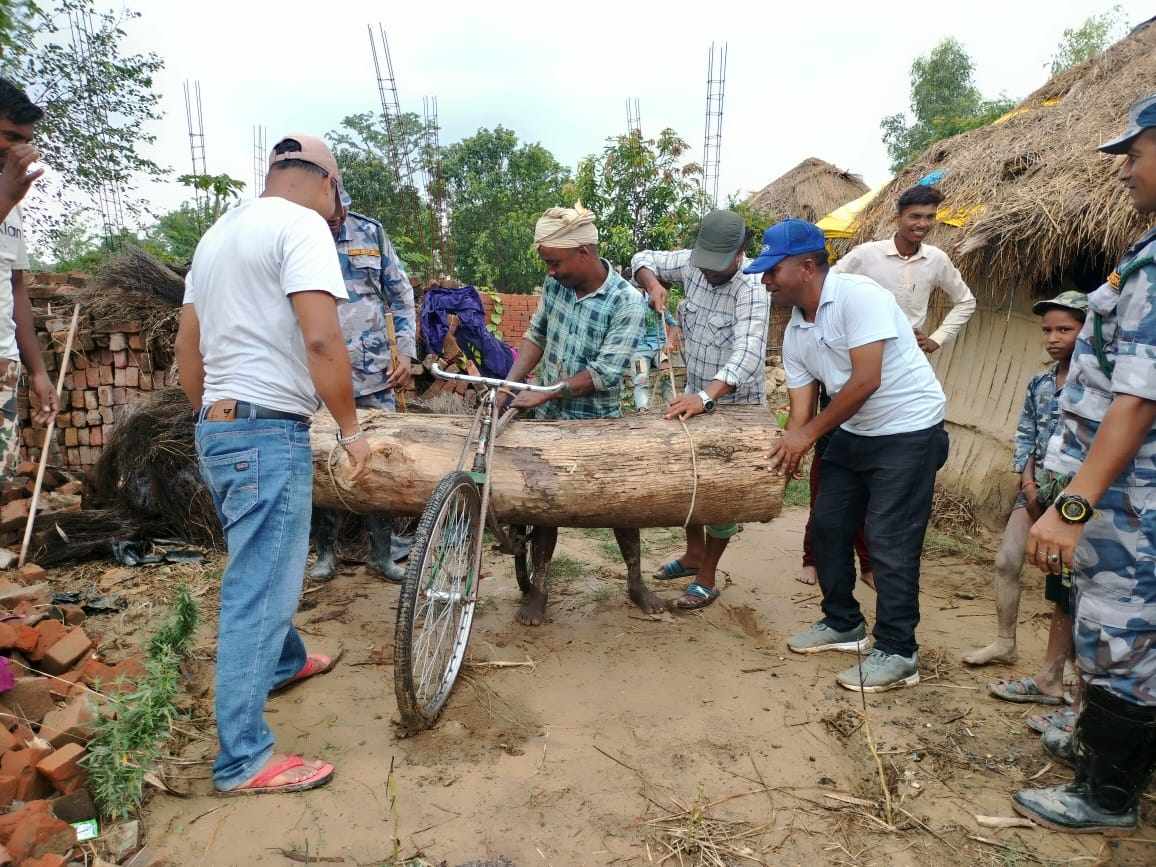 कपिलवस्तुमा तस्करले लुकाई राखेको अबस्थामा प्रहरीद्वारा काठ बरामद