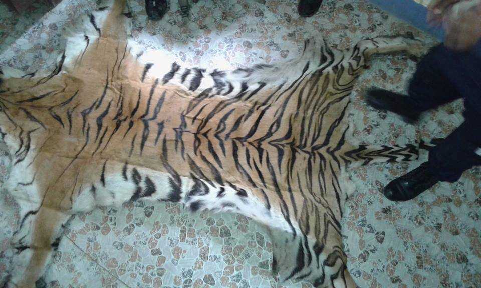 लुम्बिनी प्रदेश प्रहरीले पाटेबाघको छाला र हड्डीसहित चार जना पक्राउ