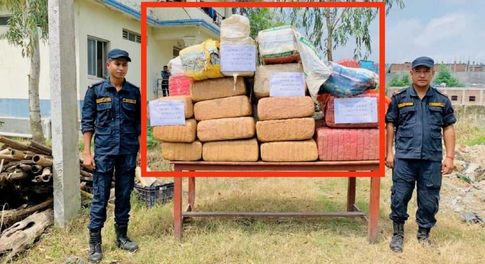 बारा प्रहरी प्रहरीले ठुलो मात्रामा ४ सय ३० किलो अवैध लागूऔषध गाँजा नष्ट गर्‍यो
