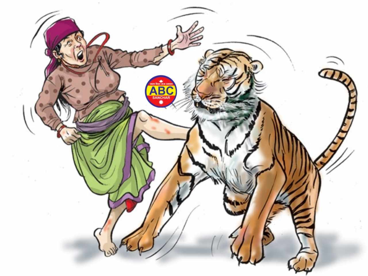 बर्दियामा बाघको आक्रमणबाट एक महिलाको मृत्यु