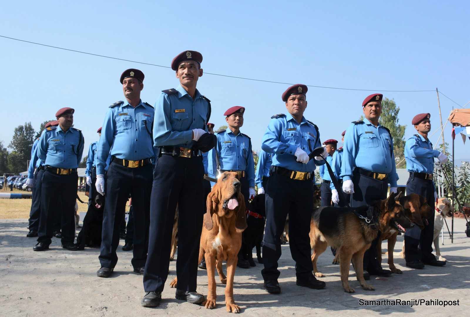 बर्दिया कारागारबाट फरार कैदीलाई खोज्न साढे दुई सय पचास सुरक्षाकर्मी परिचालन
