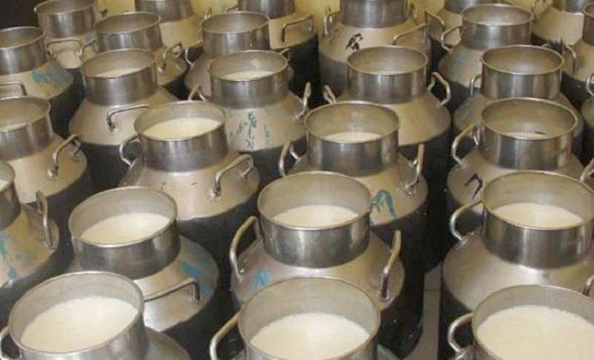 बागलुङमा दूध बेचेर हरेक वर्ष करोडौँ रुपैयाँ कमाउछ्न किसानहरु