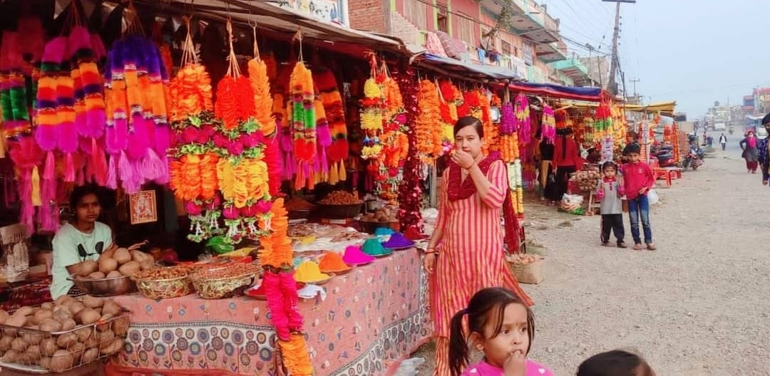 मखमली र सयपत्रि फुलहरु पाइन छाडे बजारहरुमा प्लाष्टिकका फुलहरु बिक्री हुँदै  सागर थापा