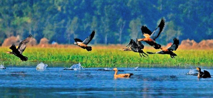 कर्णाली नदिमा फिरन्ते तथा पर्यटक चराको तटीय क्षेत्र गुल्जार रमणीय बन्दै