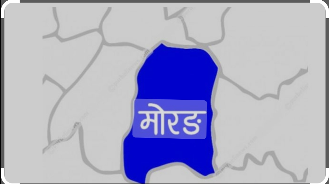 वनमा जंगली हात्ती मृत भेटियो