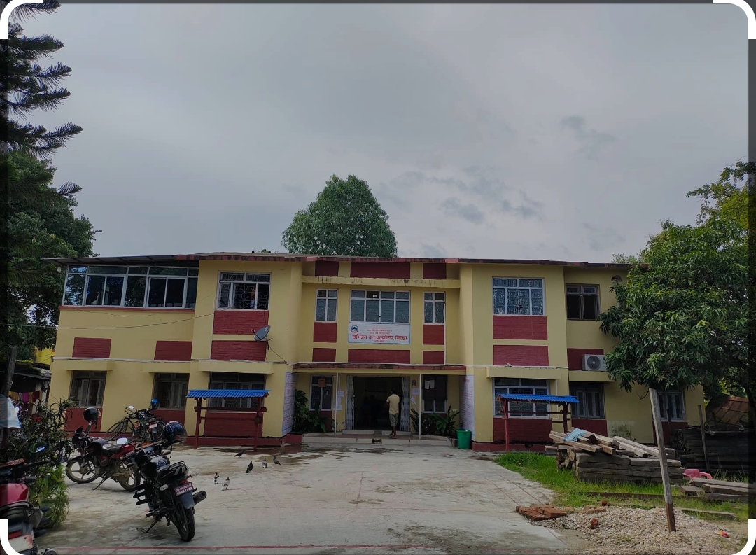 काठसहित गाडी नियन्त्रणमा
