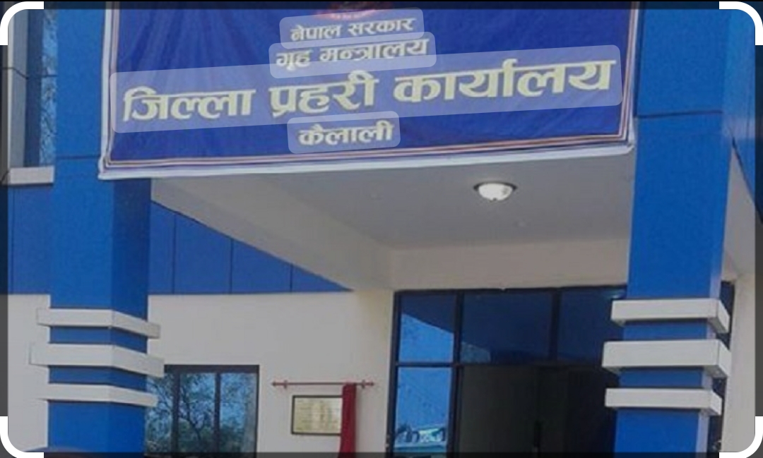 अबैध काठसहित मिनी ट्रक फेला