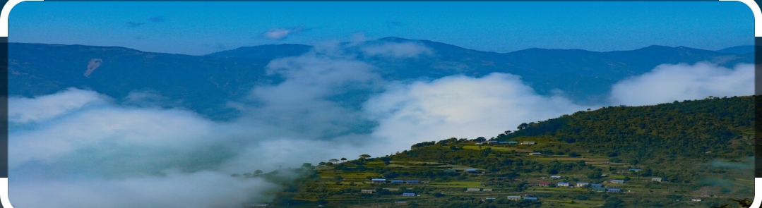 नेपाल टेलिकमको टावर परिसरमा कुकर बम विष्फोट