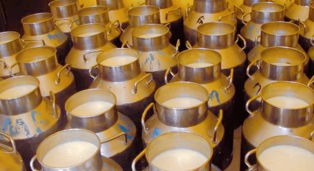 चितवनमा किसानहरुले दूधको भुक्तानी नपाएको गुनासो ७० करोडभन्दा बढी बक्यौता