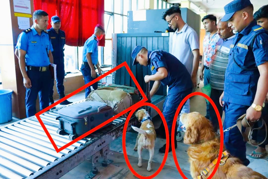 बाँके प्रहरीले तालिम प्राप्त कुकुरसहित रांझा बिमानस्थलमा लागूऔषध चेकजाँच