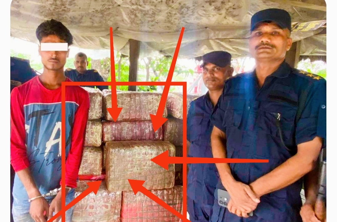 बारा प्रहरीले २७० किलो लागूऔषध गाँजा ट्रकसहित १ जना पक्राउ
