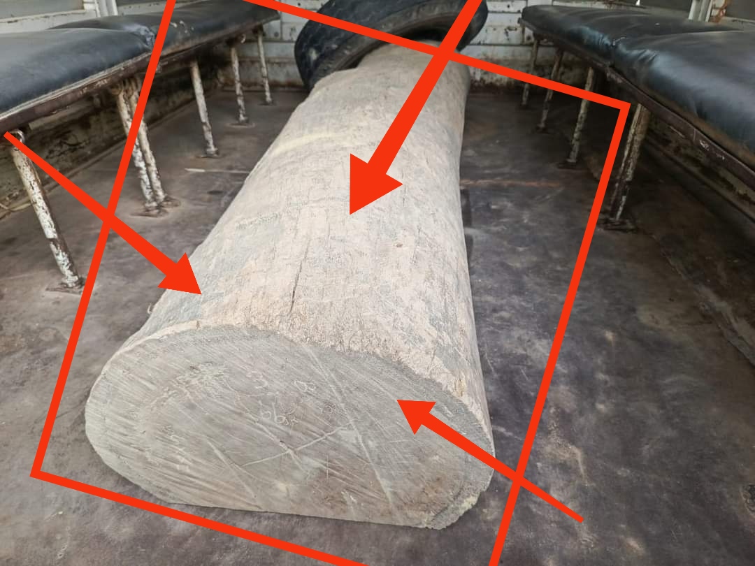 बाँके गोसाई गाउँबाट अबैध रुपमा ल्याएको सालको काठ नियन्त्रणमा