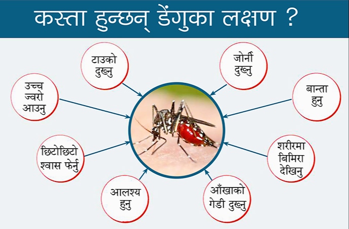 बिरगंजमा कालाजार र डेंगुका बिरामी भेटिए