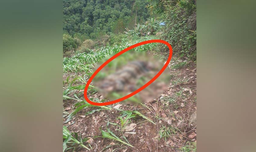 रुकुममा करेन्ट लागेर महिलाको मृत्यु ३ जना घाइते