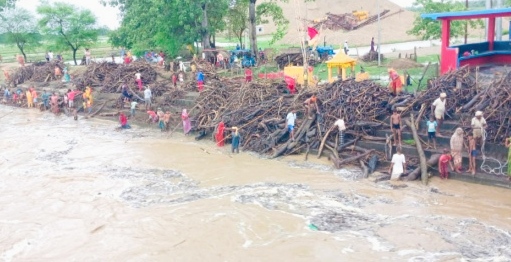 बाँकेको राप्ती नदी किनारामा बगाएर ल्याएका दाउरा जम्मा स्थानीयको भिड
