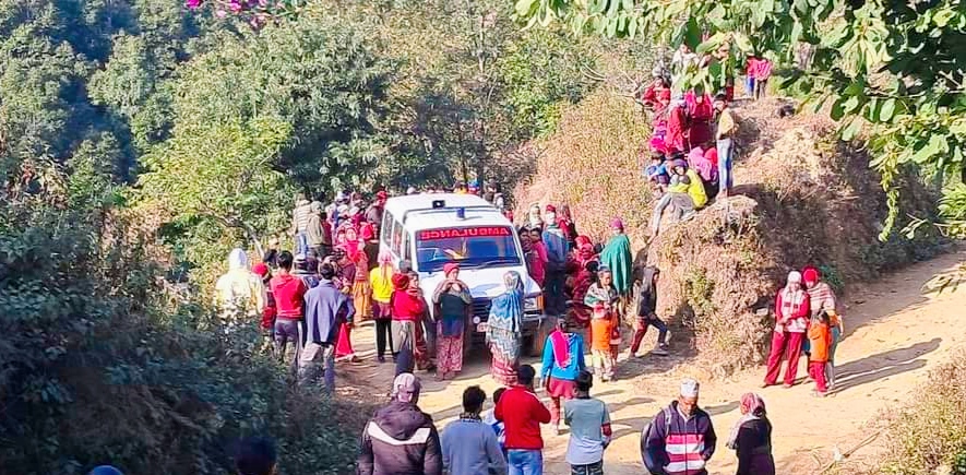 दाङमा भालुको आक्रमणबाट एकजना महिला गम्भीर घाइते