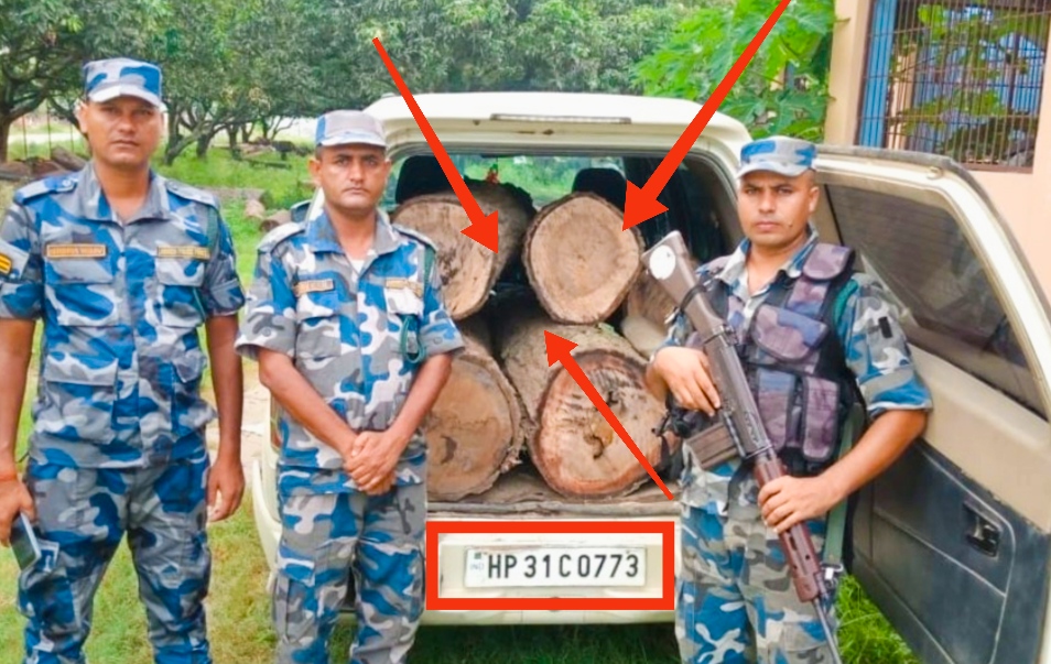 सशस्त्र प्रहरी रौतहटले अवैध सालको गोलिया काठसहित भारतीय गाडी पक्राउ