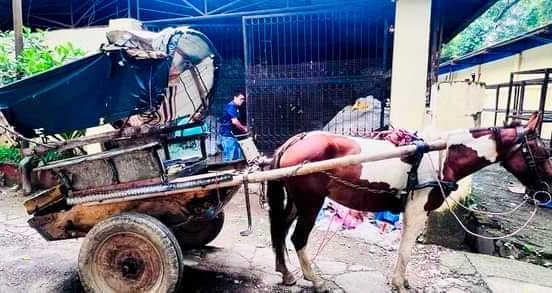 बिरगंजबाट सशस्त्र प्रहरीले १७ लाख १० हजार ६ सय ५० मूल्य बराबरको इलेक्ट्रिक चुरोट भेप पक्राउ