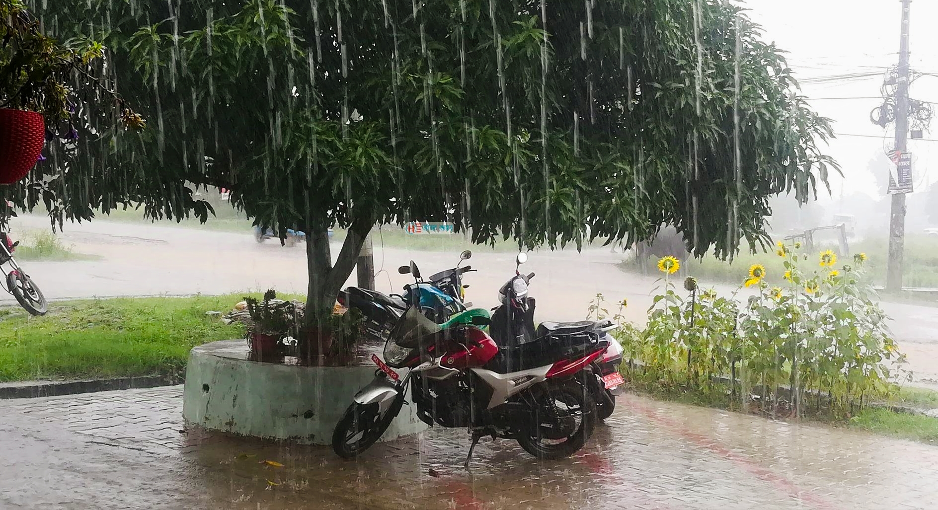देशभर गर्मी मंगलबारदेखि शुक्रबारसम्म भारी वर्षाको सम्भावना मौसम पूर्वानुमान महाशाखा