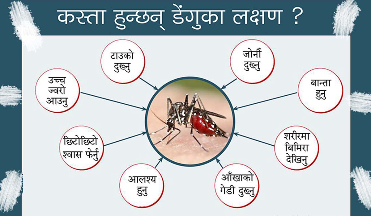 देशभर २२ हजारभन्दा बढीमा डेंगु सङ्क्रमण पुष्टि ११ जना सङ्क्रमितको मृत्यु