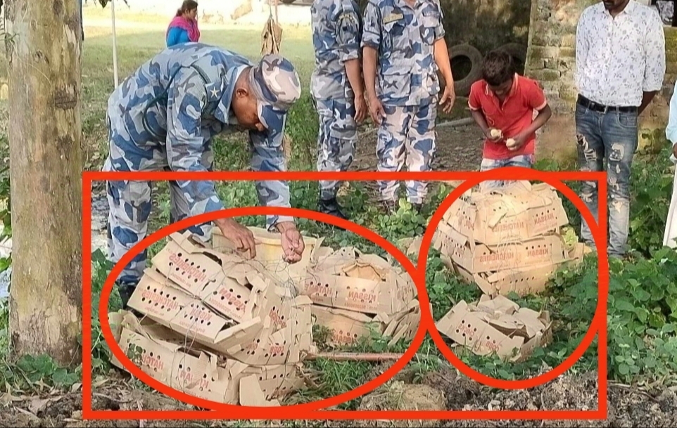 सशस्त्र प्रहरीद्वारा ३ हजार अबैध चल्ला नष्ट