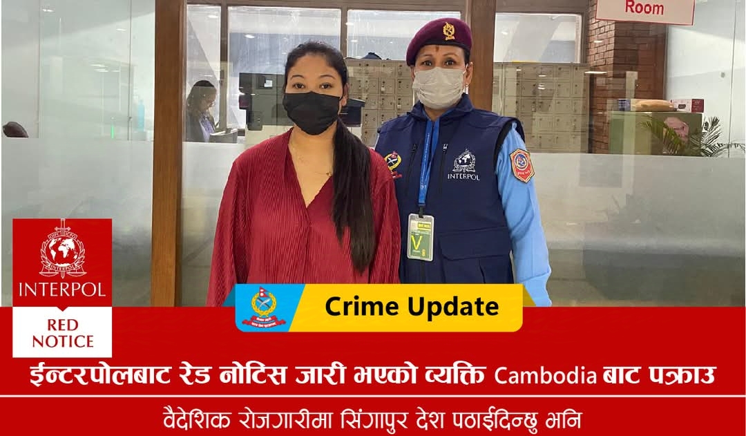 वैदेशिक रोजगारी ठगी मुद्दामा इन्टरपोलबाट एक महिला कम्बोडियाबाट पक्राउ गरी नेपाल ल्यायो