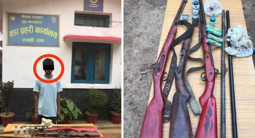 दाङमा तीन भरुवा बन्दुकसहित एकजना पक्राउ