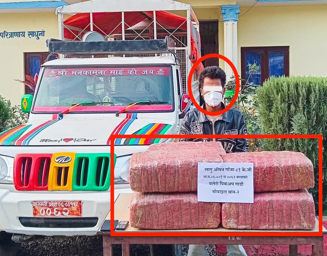 मकवानपुरबाट ठुलो मात्रामा ८१ किलो अबैध लागुऔषध गाँजासहित १ जना पक्राउ,