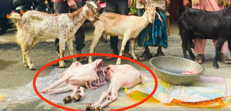 बिरगंजमा बाख्राको मासुलाई खसीको अण्ड कोष टाँसेर विक्री गरिरहेका एकजना पक्राउ,