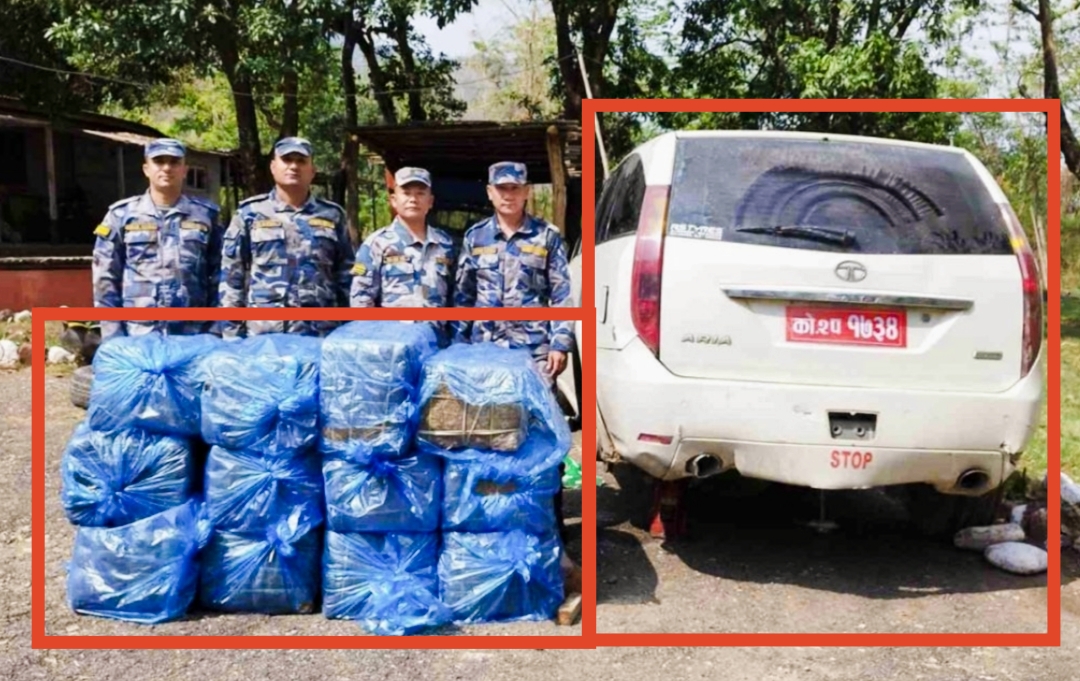 धनकुटाबाट सशस्त्र प्रहरीले ठुलो मात्रामा लागूऔषध गाँजासहित एउटा कार पक्राउ